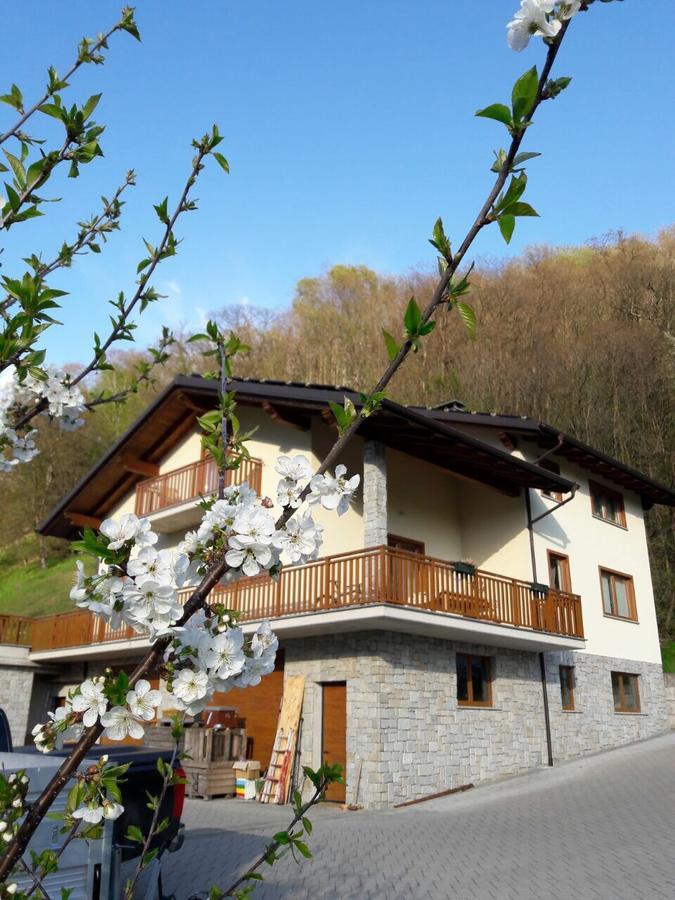 Mortirolo Bed & Breakfast Mazzo di Valtellina Ngoại thất bức ảnh